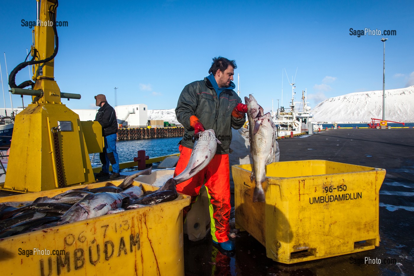 DECOUVERTE DE L’ISLANDE 
