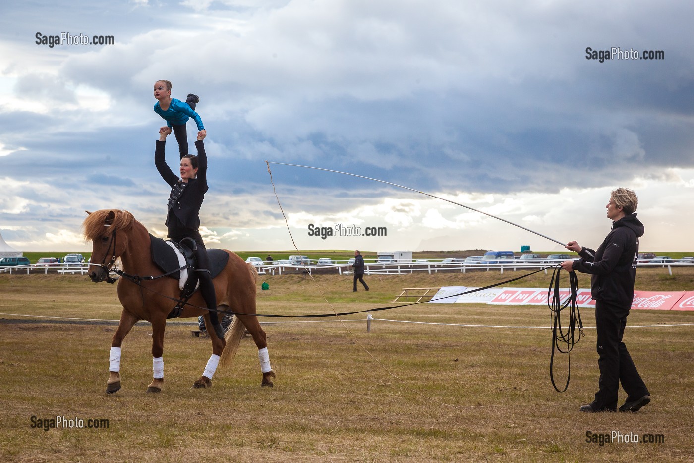 CHEVAUX ISLANDAIS ET EQUITATION, ISLANDE, EUROPE 