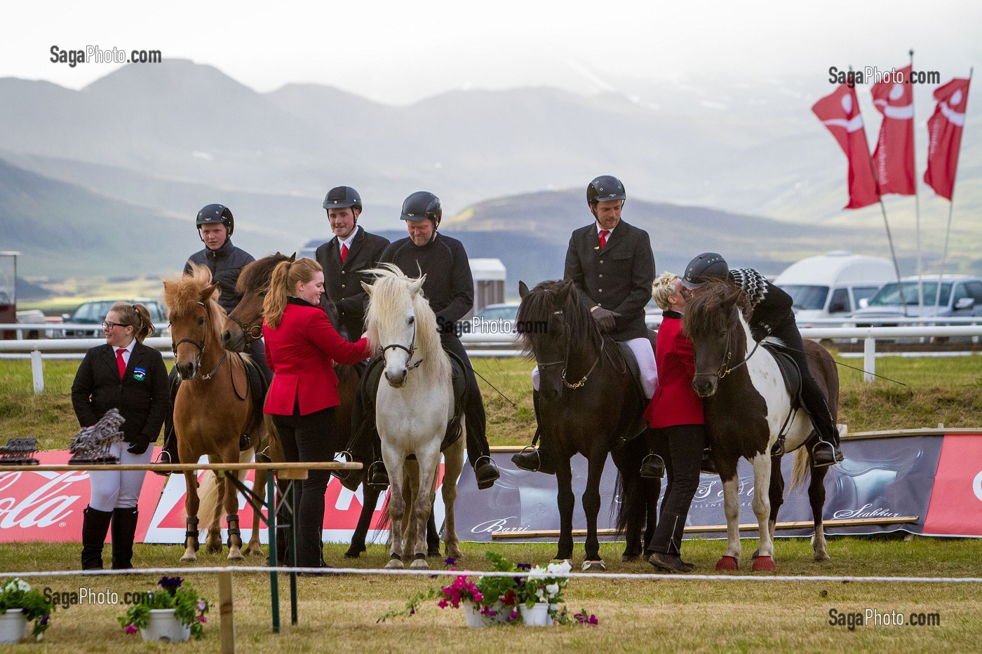 CHEVAUX ISLANDAIS ET EQUITATION, ISLANDE, EUROPE