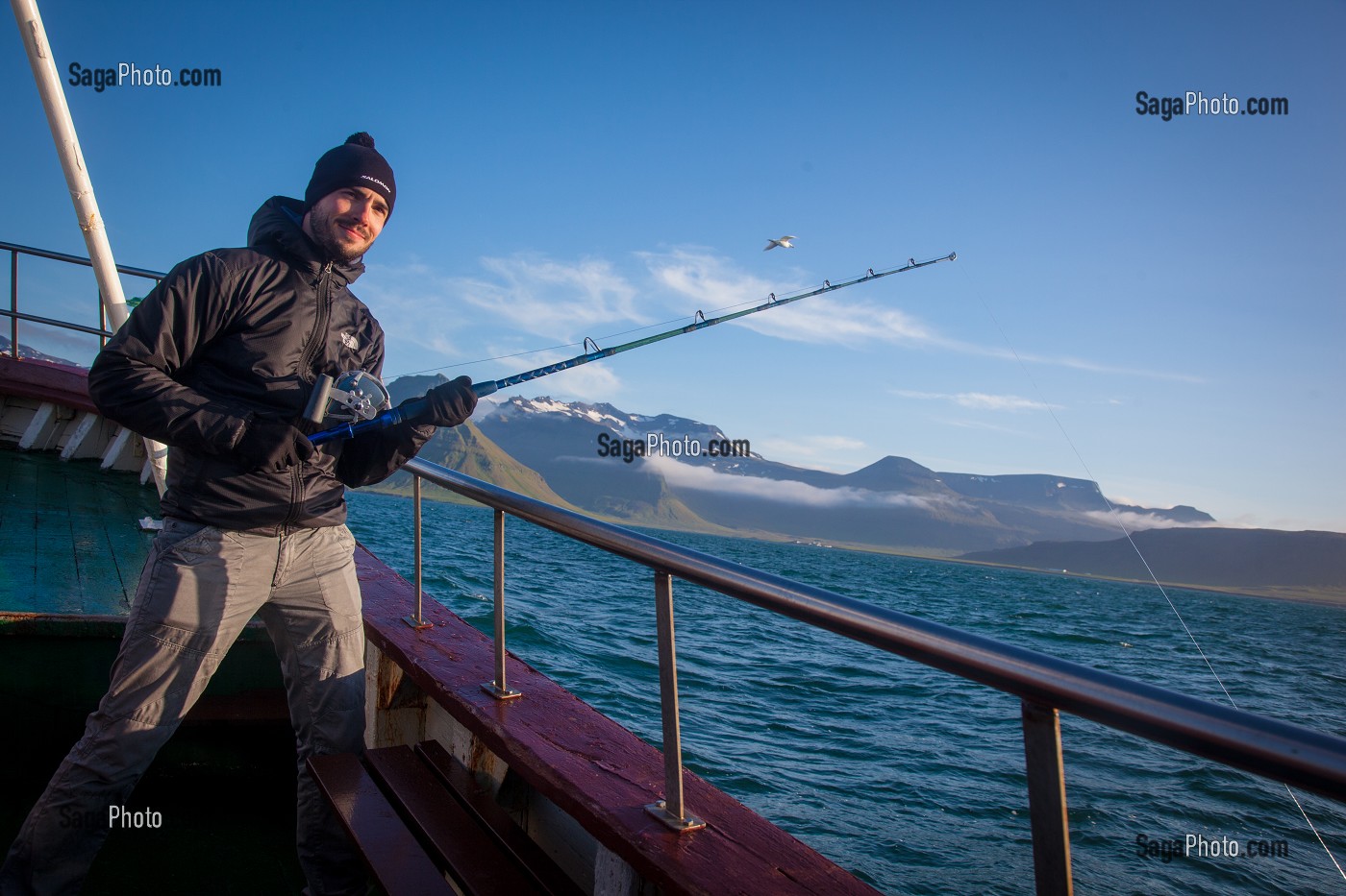 OBSERVATION DES BALEINES EN ISLANDE, EUROPE 