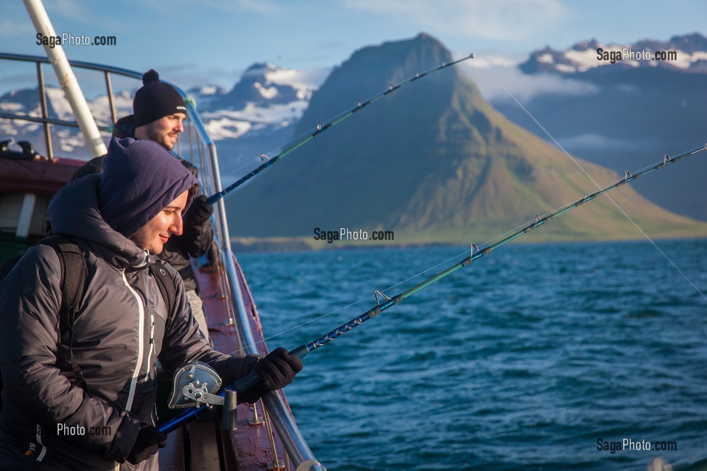 OBSERVATION DES BALEINES EN ISLANDE, EUROPE 