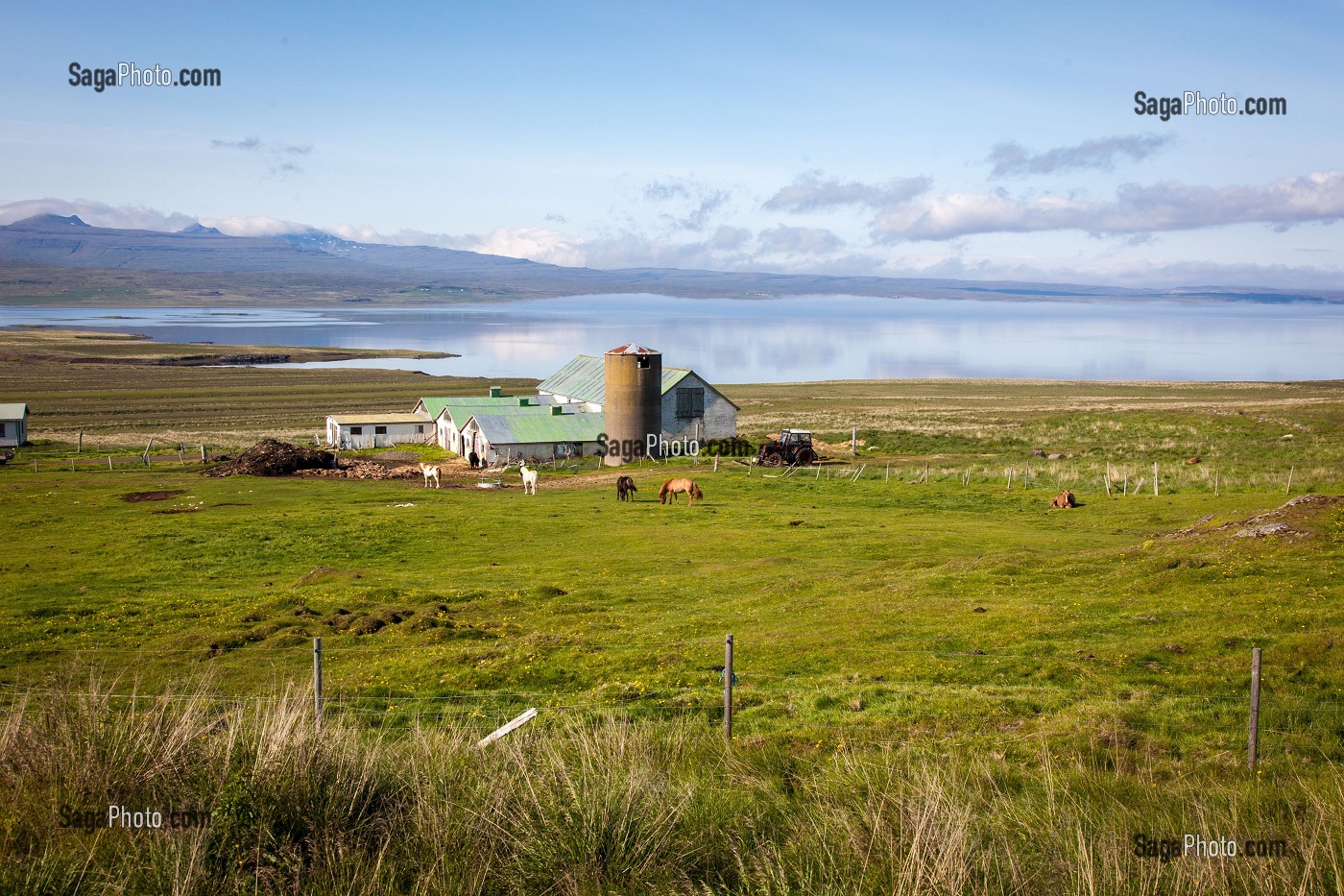 FERME, AGRICULTURE EN ISLANDE, EUROPE