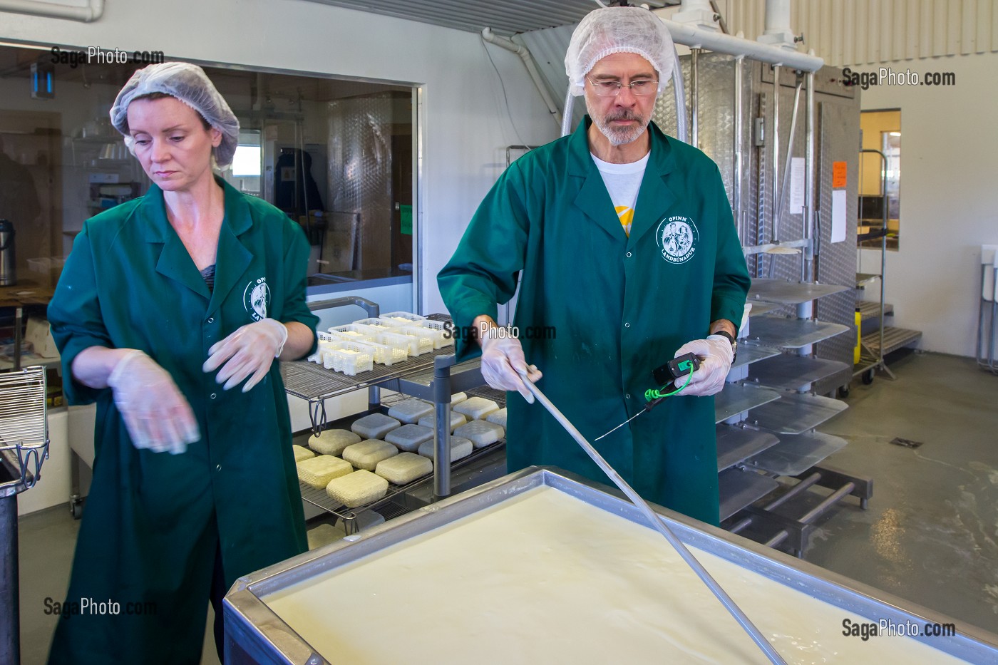 FROMAGES ET PRODUITS LAITIERS ISLANDAIS, ISLANDE, EUROPE 