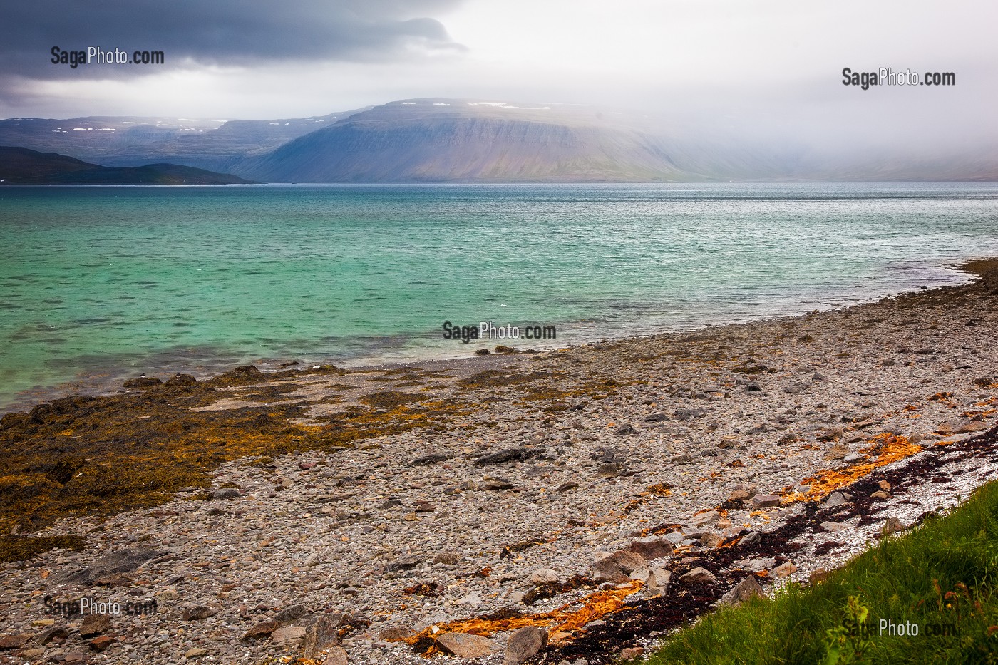 FJORDS DE L'OUEST, ISLANDE, EUROPE 