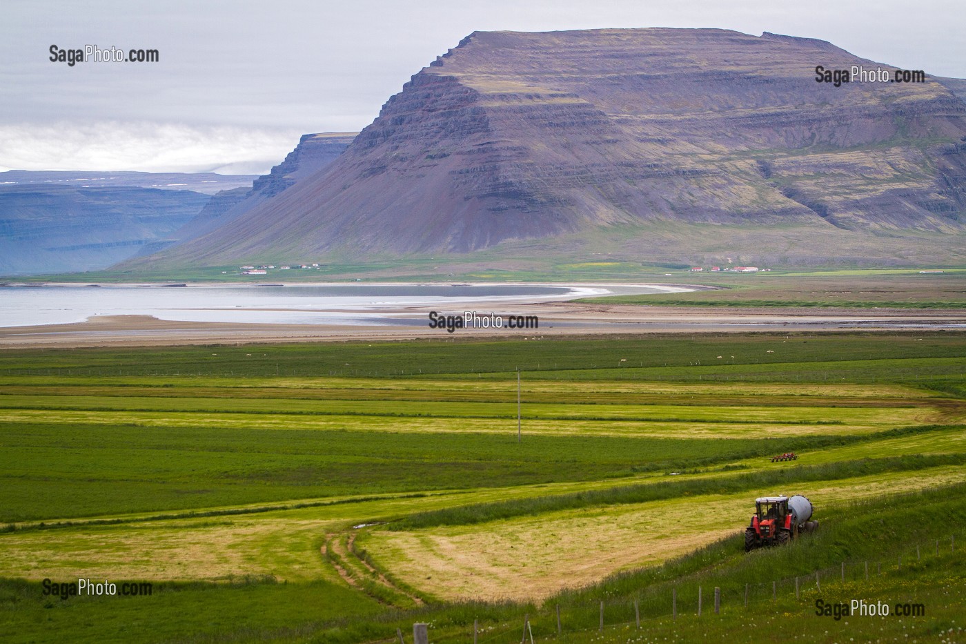 FERME, AGRICULTURE EN ISLANDE, EUROPE 