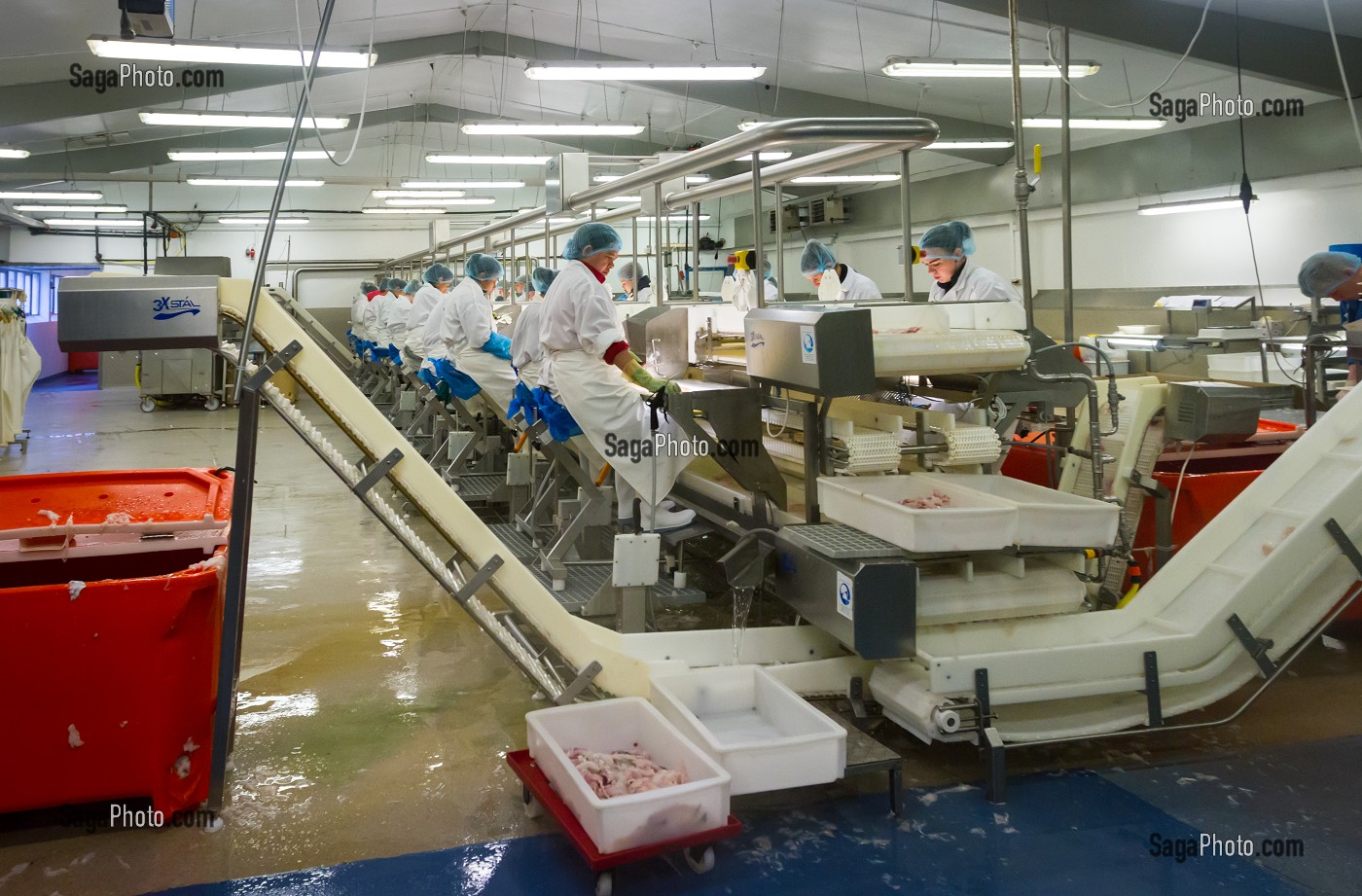 INDUSTRIE DU POISSON, ISLANDE, EUROPE 