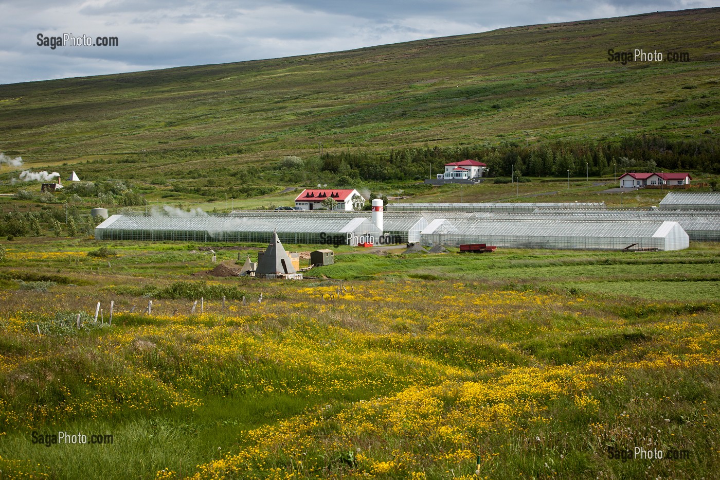 AGRICULTURE ET GEOTHERMIE, ISLANDE, EUROPE 