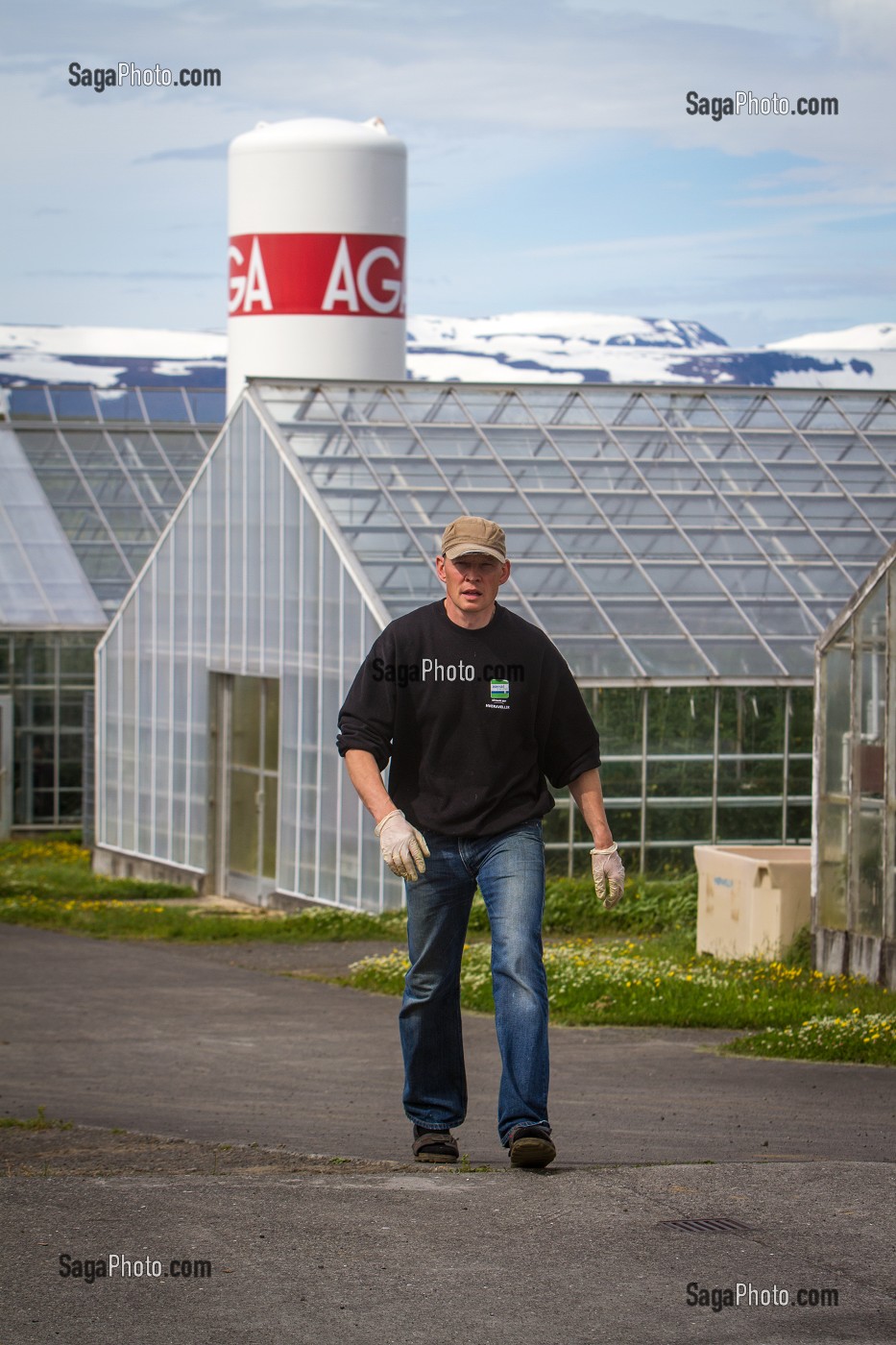 AGRICULTURE ET GEOTHERMIE, ISLANDE, EUROPE 
