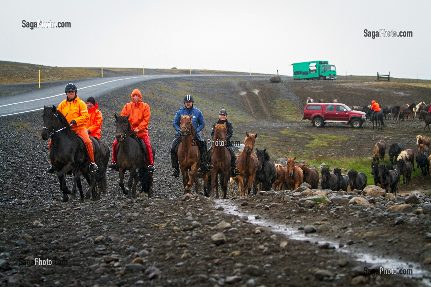 ELEVAGE DE CHEVAUX ISLANDAIS, ISLANDE, EUROPE 