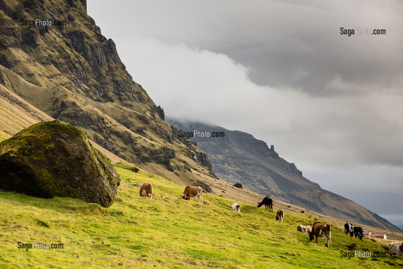 VOYAGE EN ISLANDE, EUROPE 