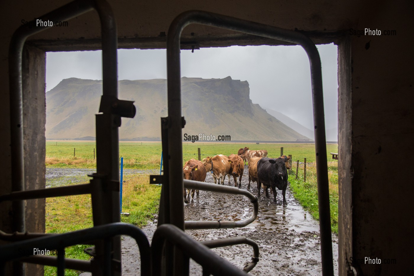VOYAGE EN ISLANDE, EUROPE 