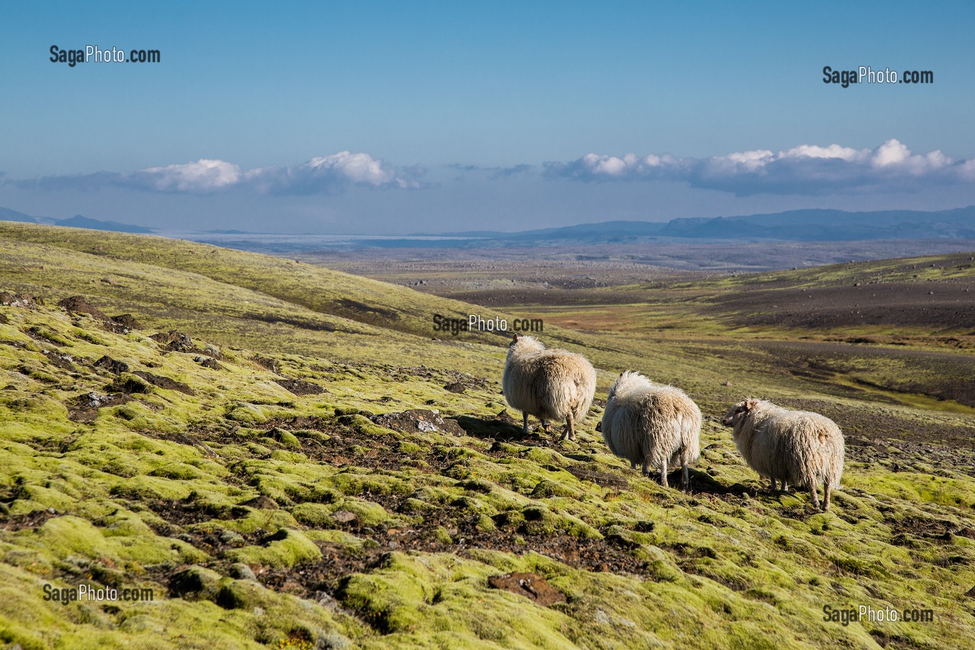 VOYAGE EN ISLANDE, EUROPE 