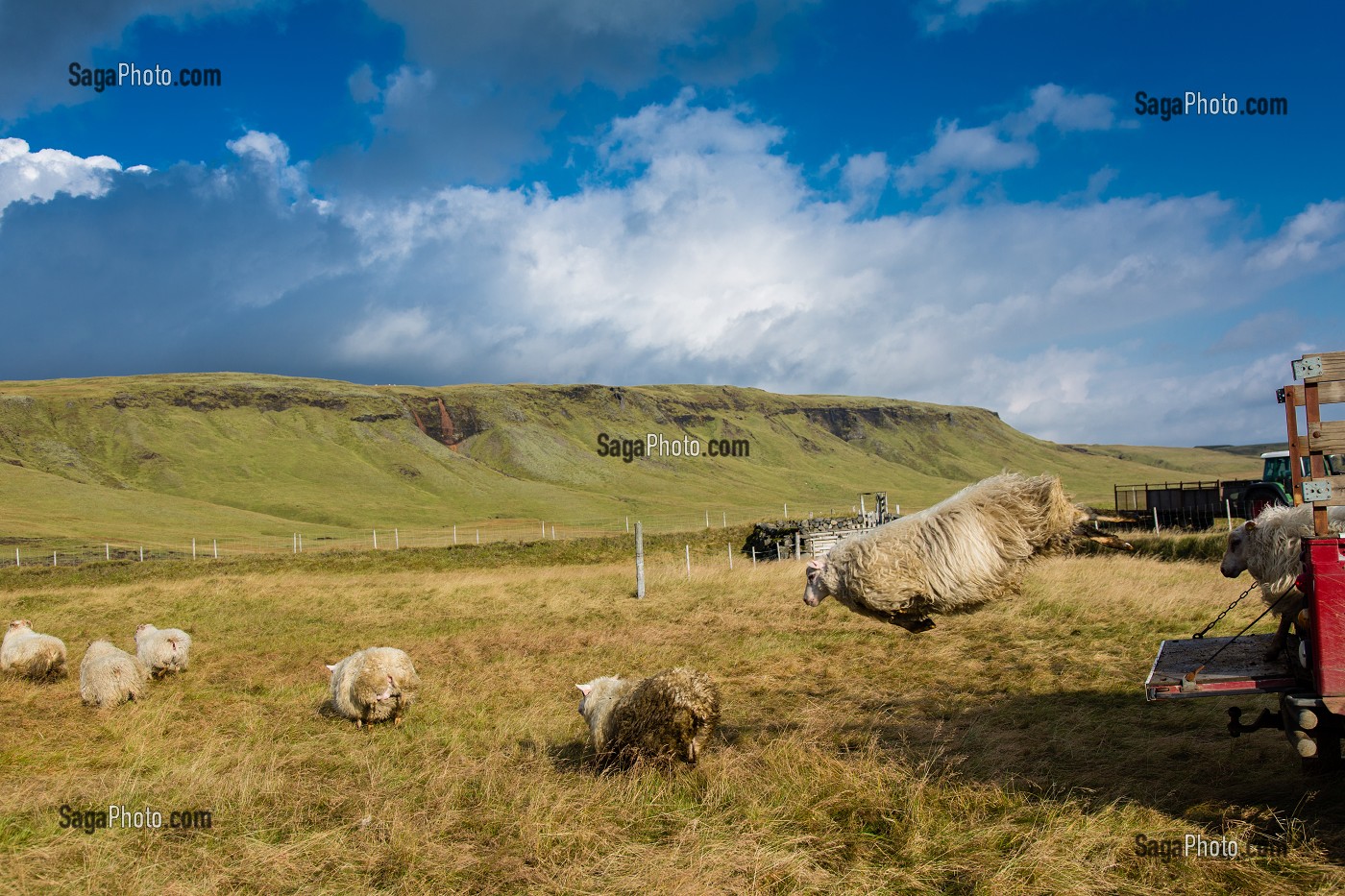 VOYAGE EN ISLANDE, EUROPE 
