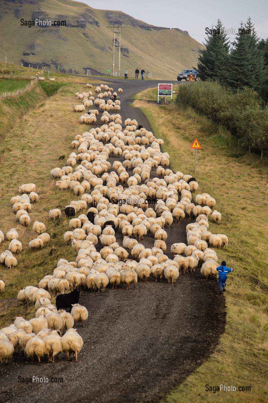 VOYAGE EN ISLANDE, EUROPE 