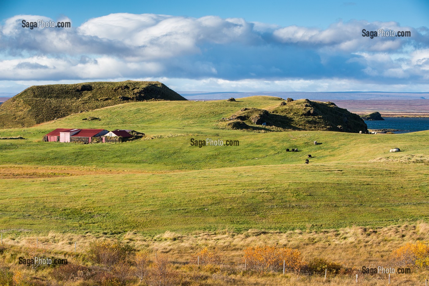 VOYAGE EN ISLANDE, EUROPE 