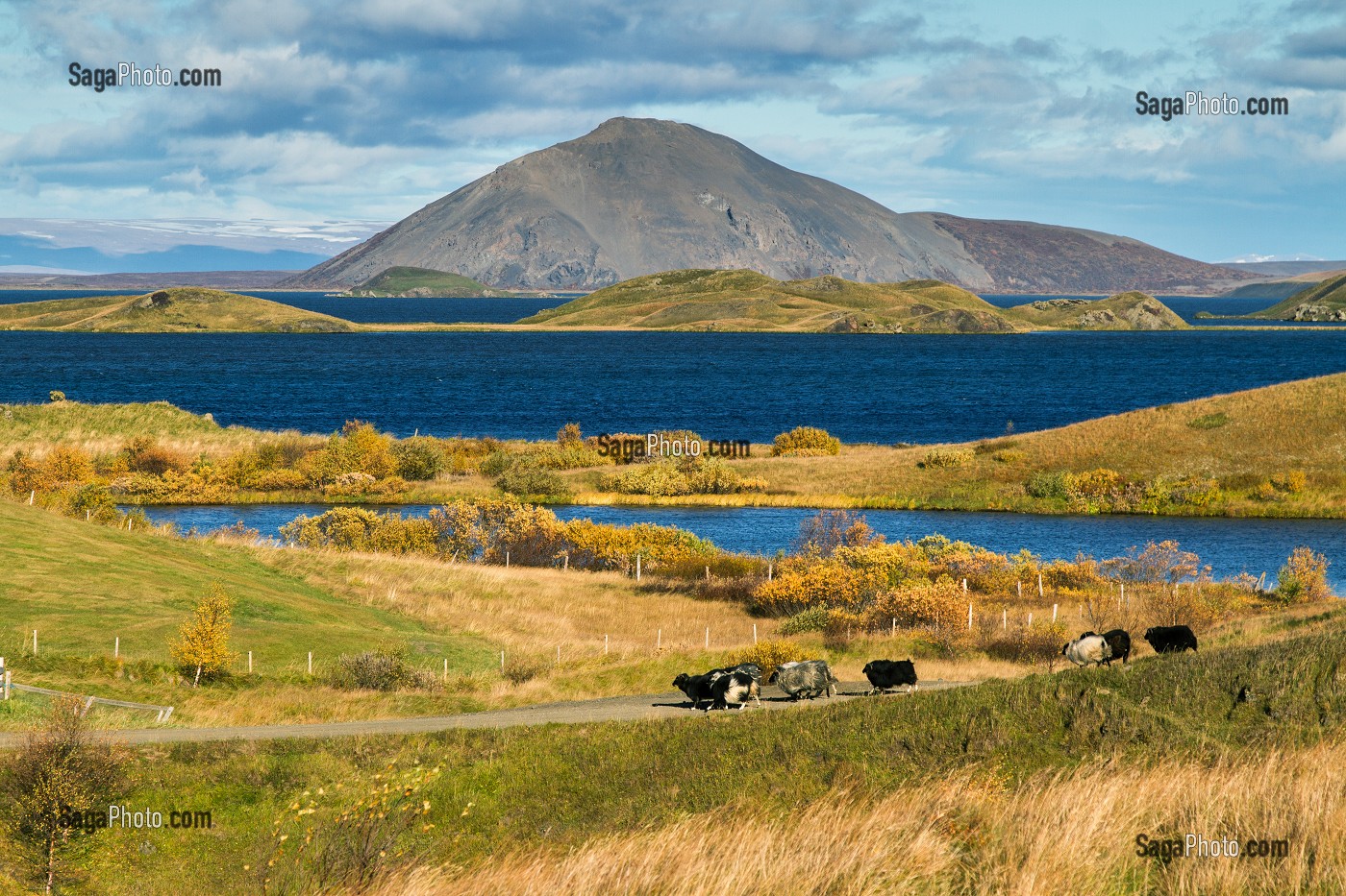 VOYAGE EN ISLANDE, EUROPE 