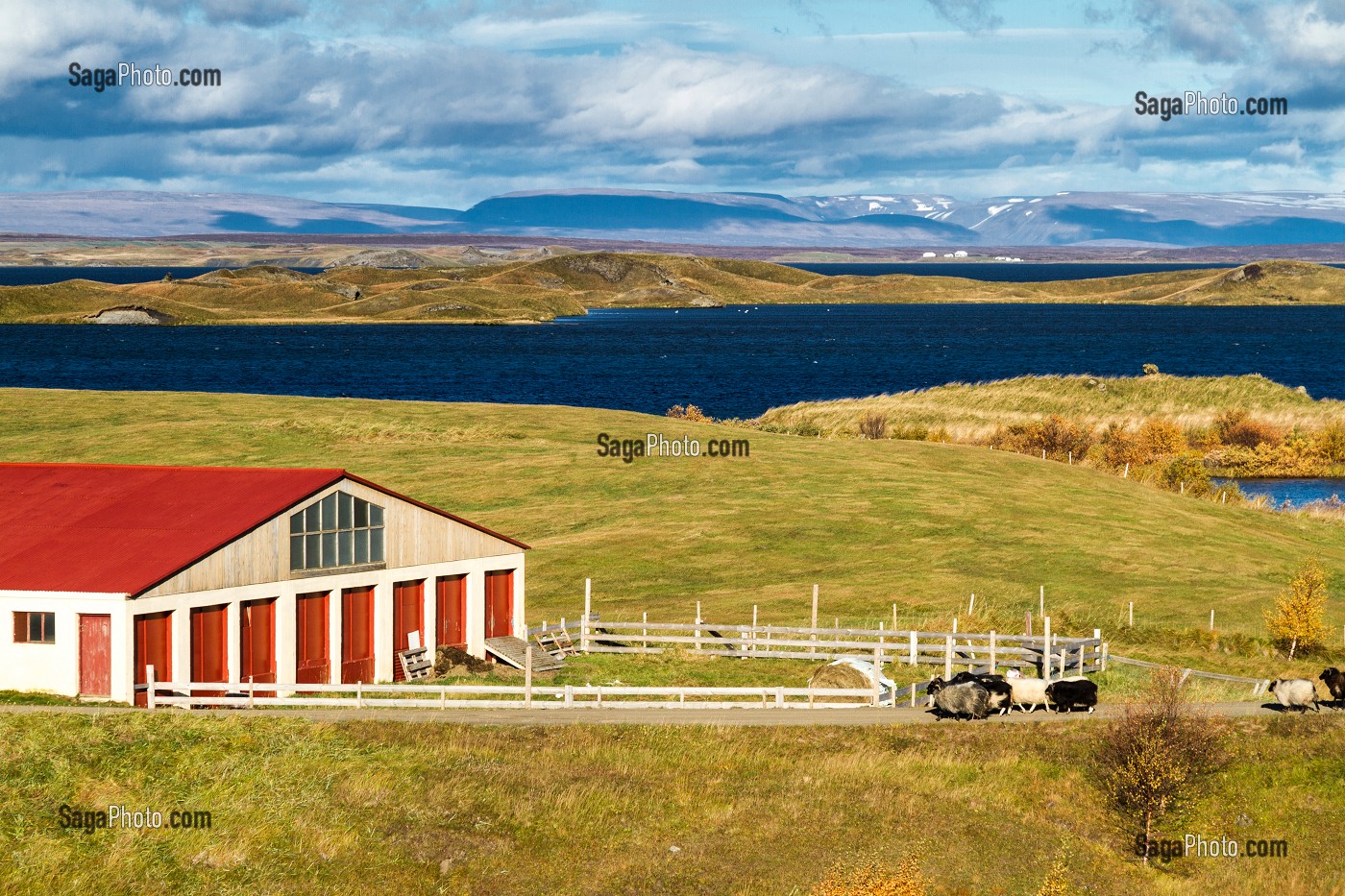 VOYAGE EN ISLANDE, EUROPE 