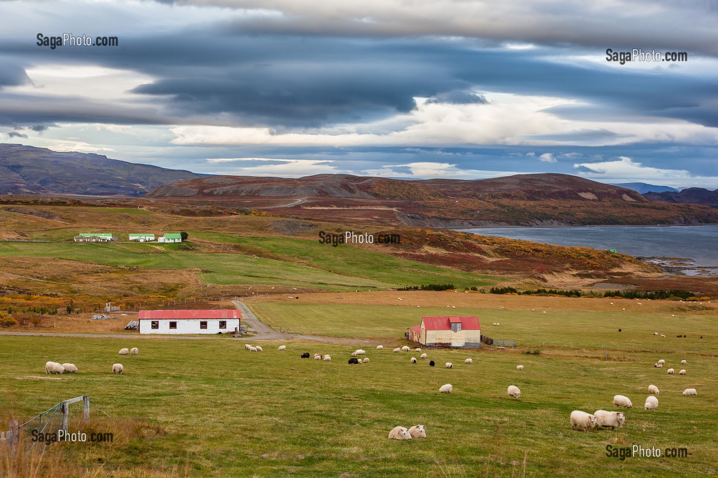 VOYAGE EN ISLANDE, EUROPE 