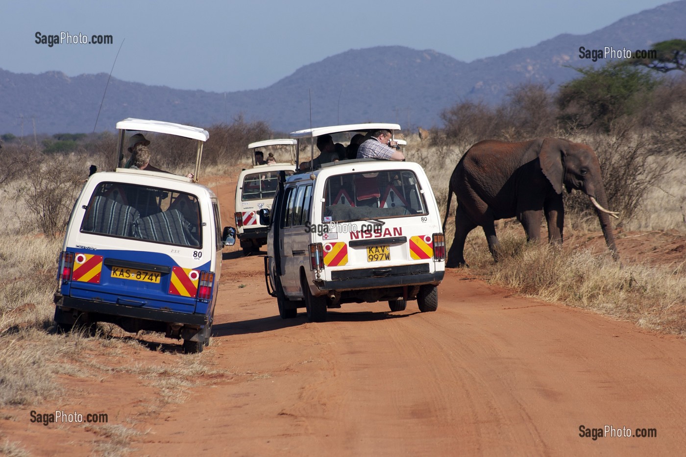 SAFARI DANS LE PARC NATIONAL DU TSAVO EST, RESERVE, PARC NATIONAL, ELEPHANT, TOURISTES, KENYA, AFRIQUE 