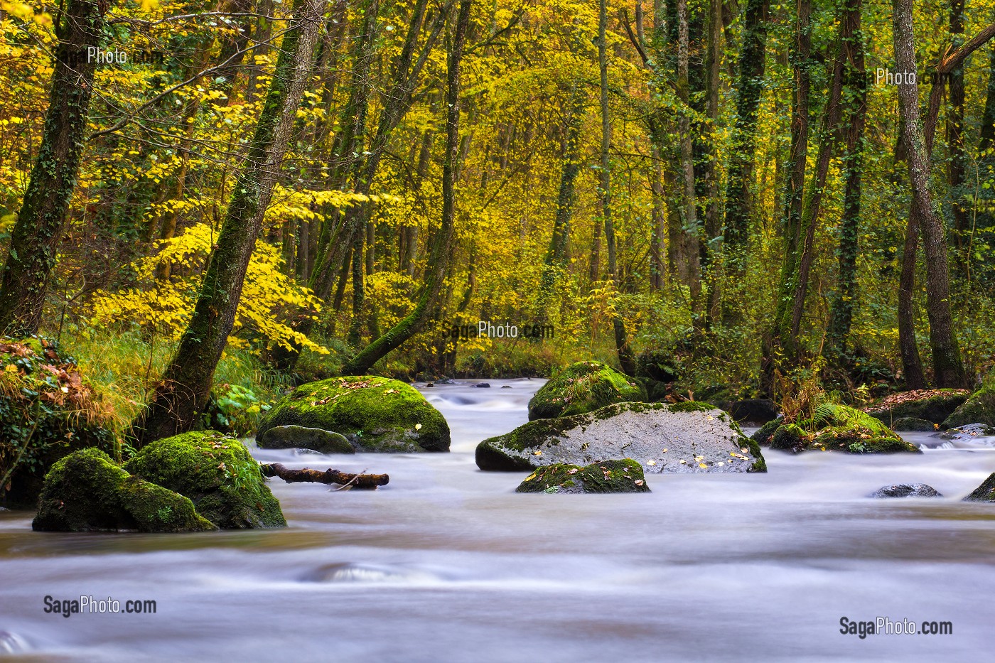 COULEURS D'AUTOMNE DANS LE CALVADOS (14), BASSE NORMANDIE, FRANCE 