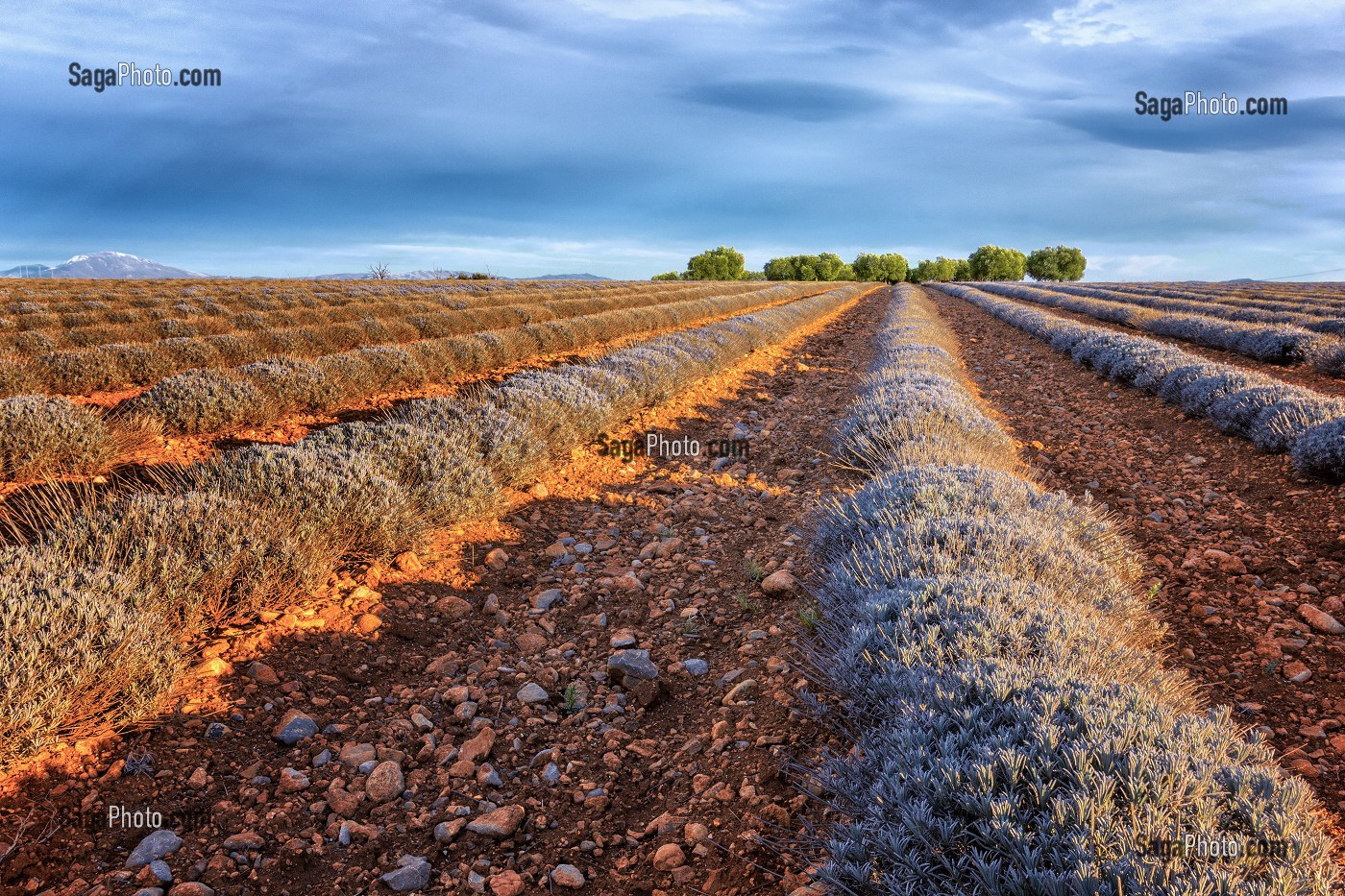 ILLUSTRATION ALPES DE HAUTE PROVENCE (04), PACA, FRANCE 