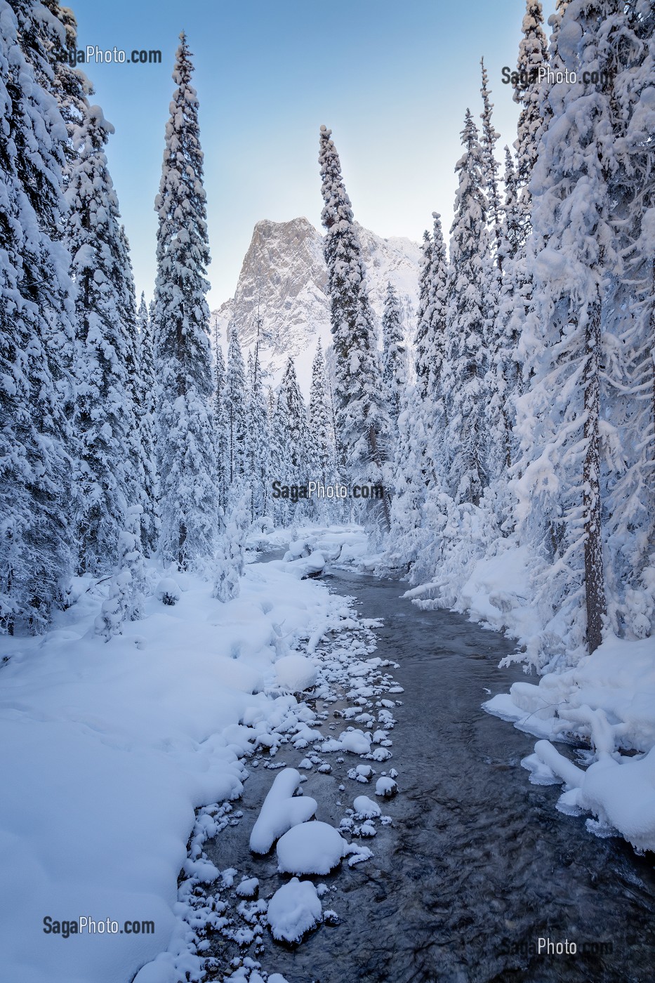 LE CANADA OUEST EN HIVER, AMERIQUE DU NORD 