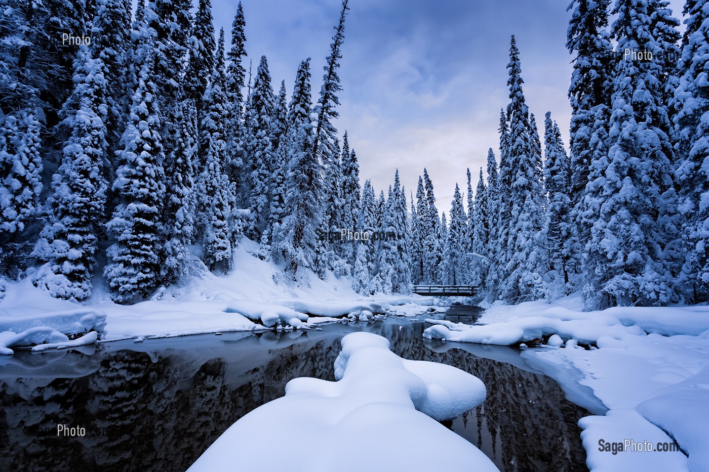 LE CANADA OUEST EN HIVER, AMERIQUE DU NORD 
