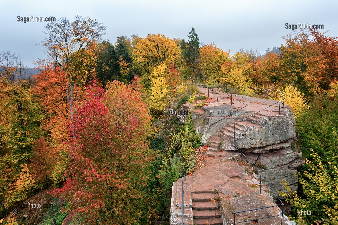 ROUTE DES CHATEAUX D'ALSACE, BAS-RHIN (67), FRANCE 