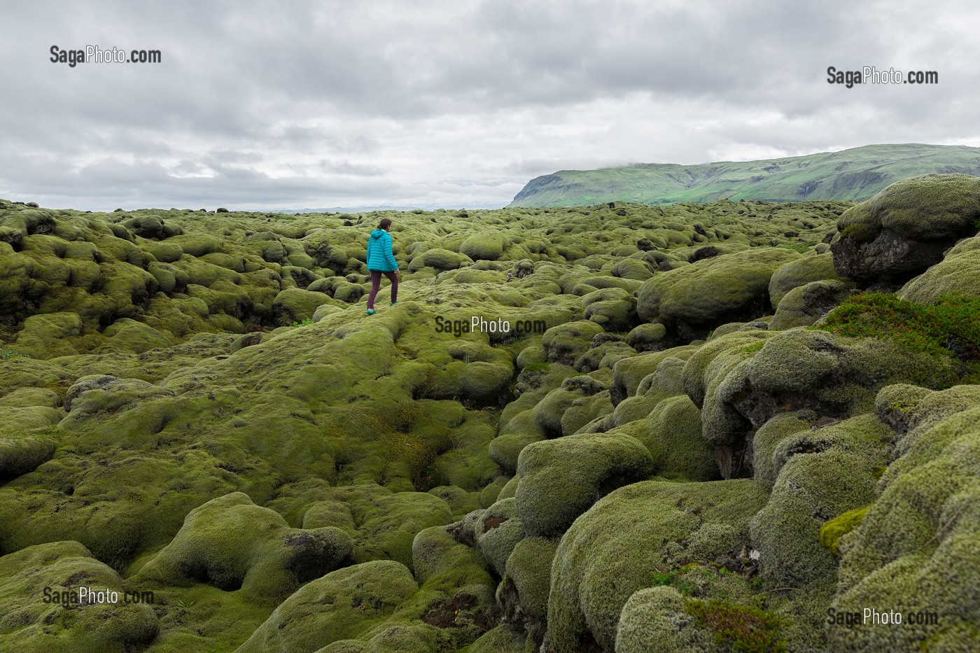 PAYSAGES D'ISLANDE 