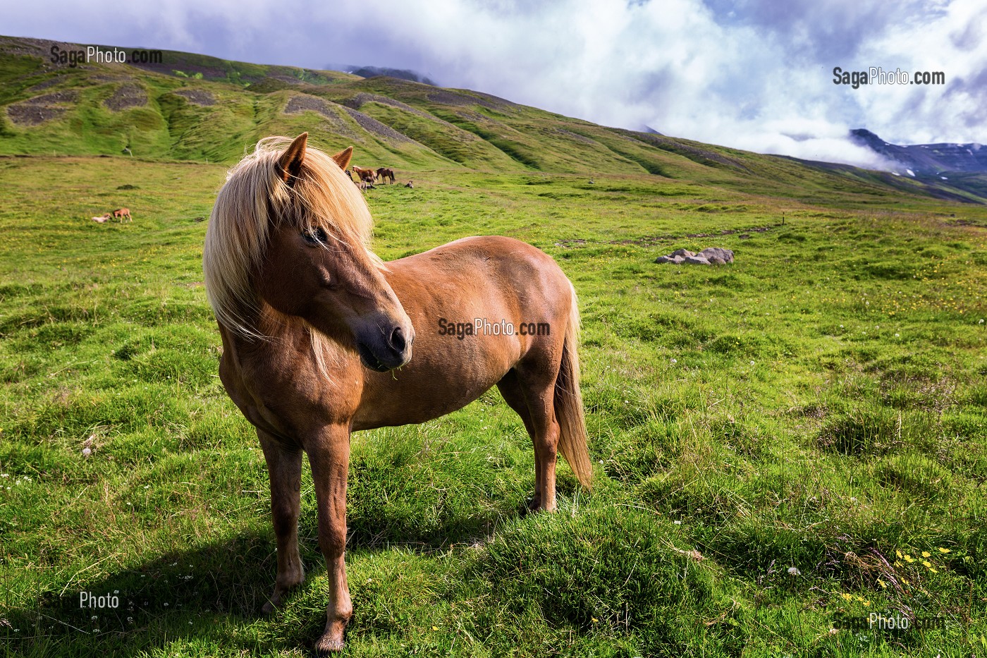PAYSAGES D'ISLANDE 