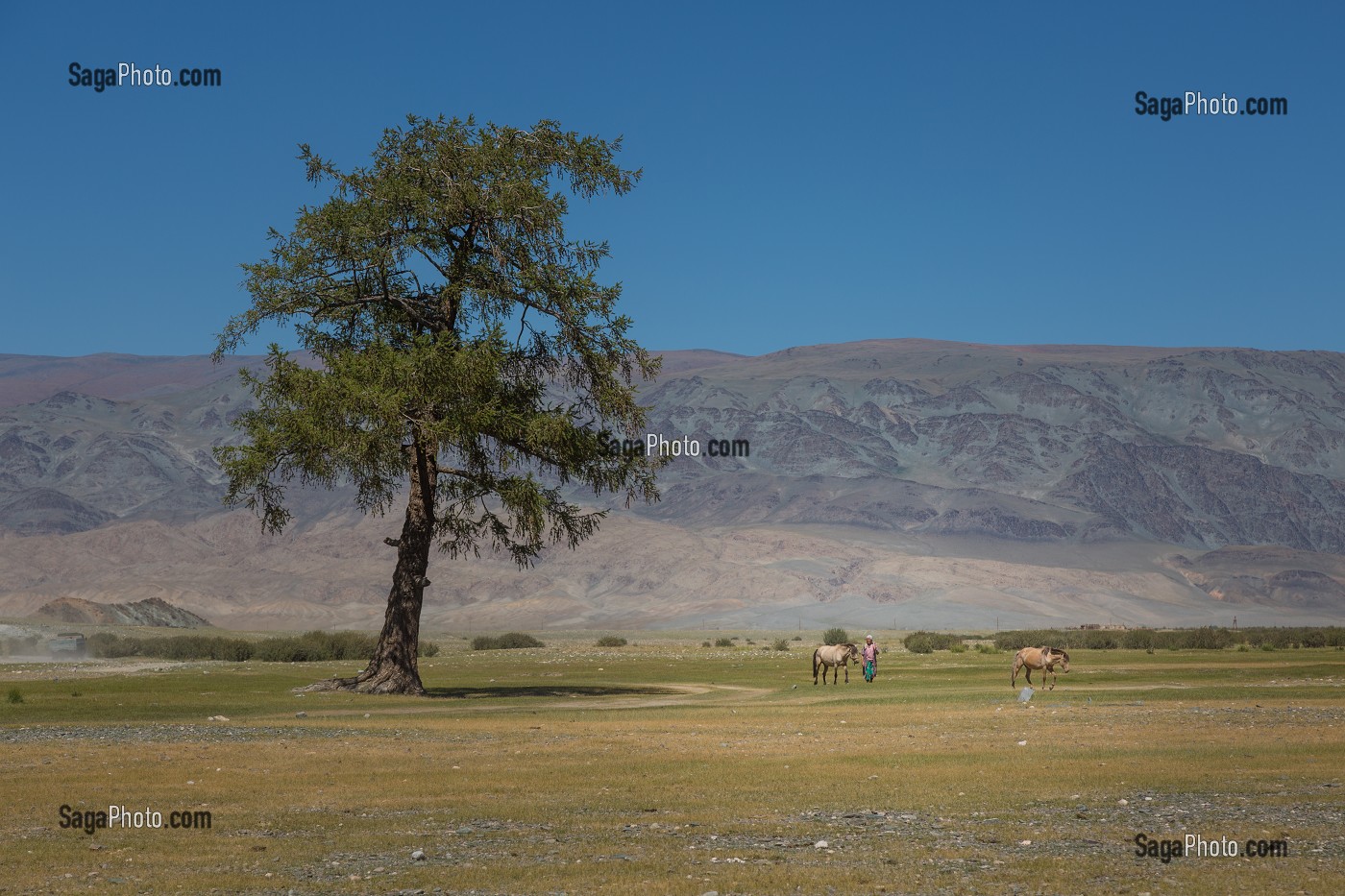 LA MONGOLIE, ASIE 