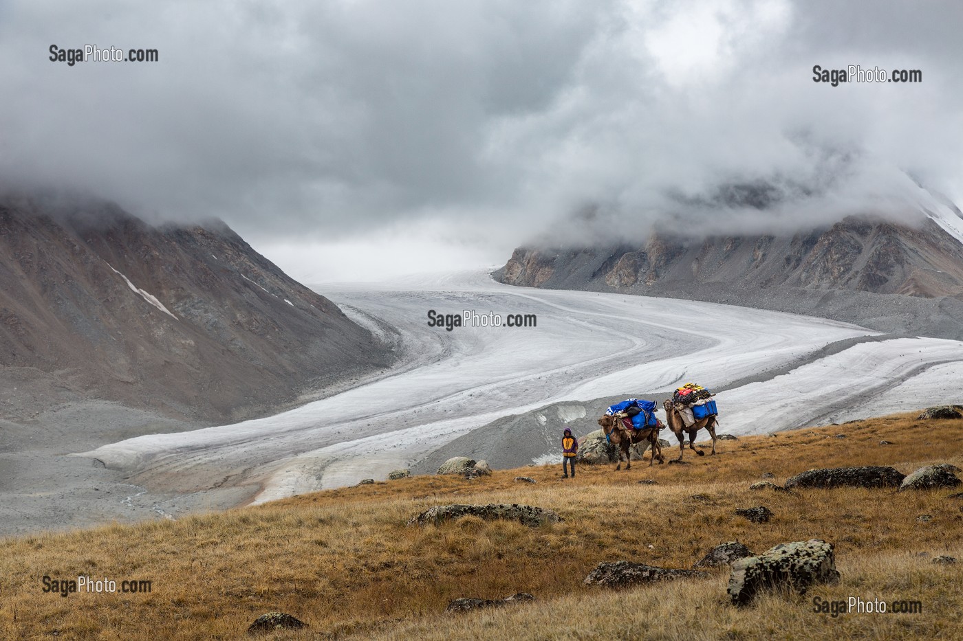LA MONGOLIE, ASIE 