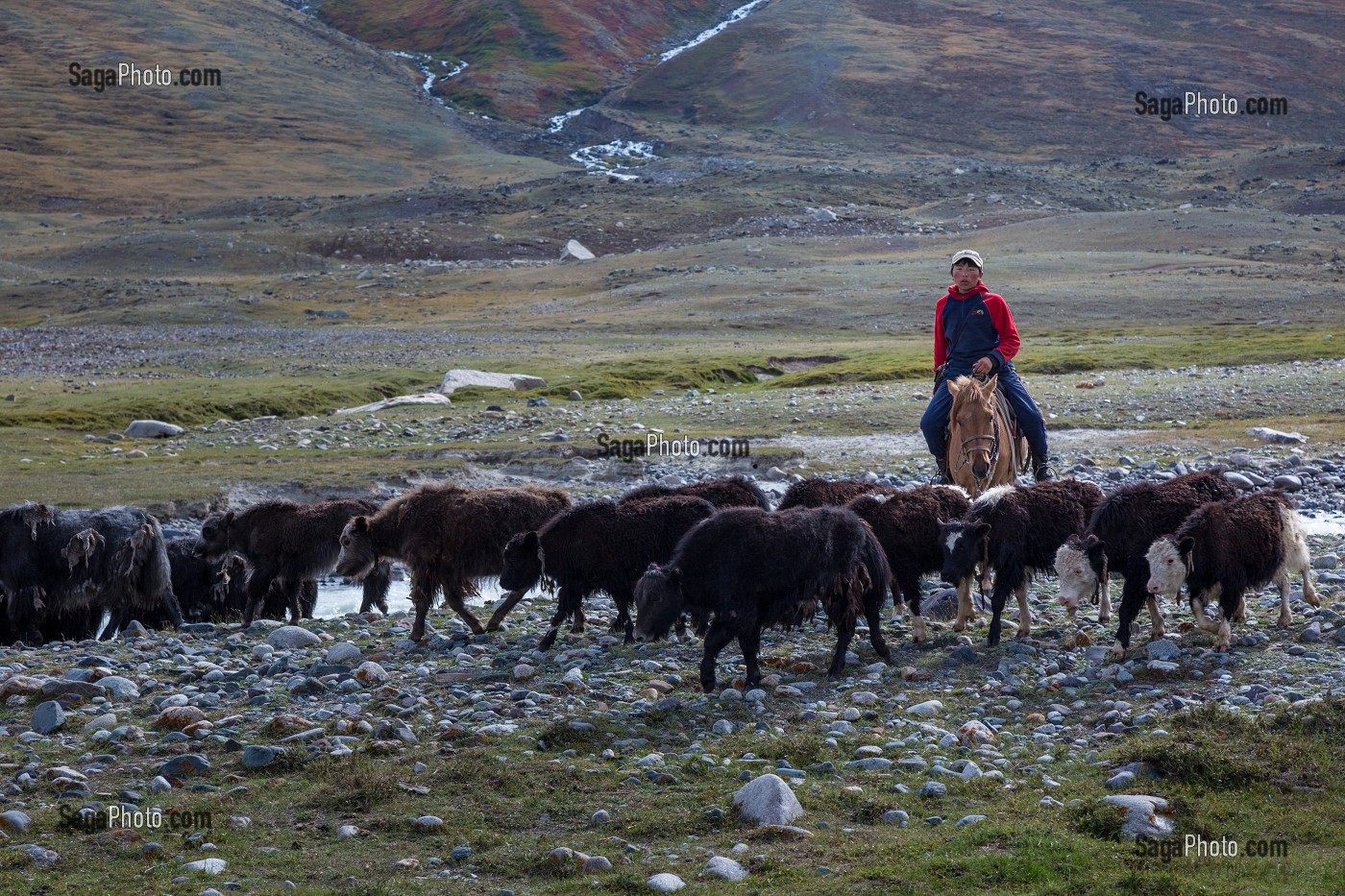 LA MONGOLIE, ASIE 