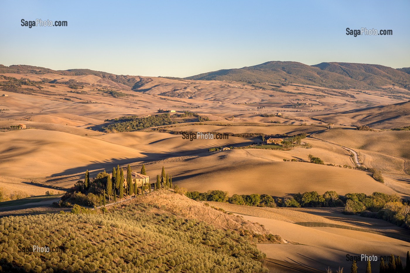 FERME, CHAMPS ET PAYSAGE AUTOMNAL TOSCAN AU COUCHER DU SOLEIL, SAN QUIRICO D'ORCIA, SIENNE, TOSCANE, ITALIE 