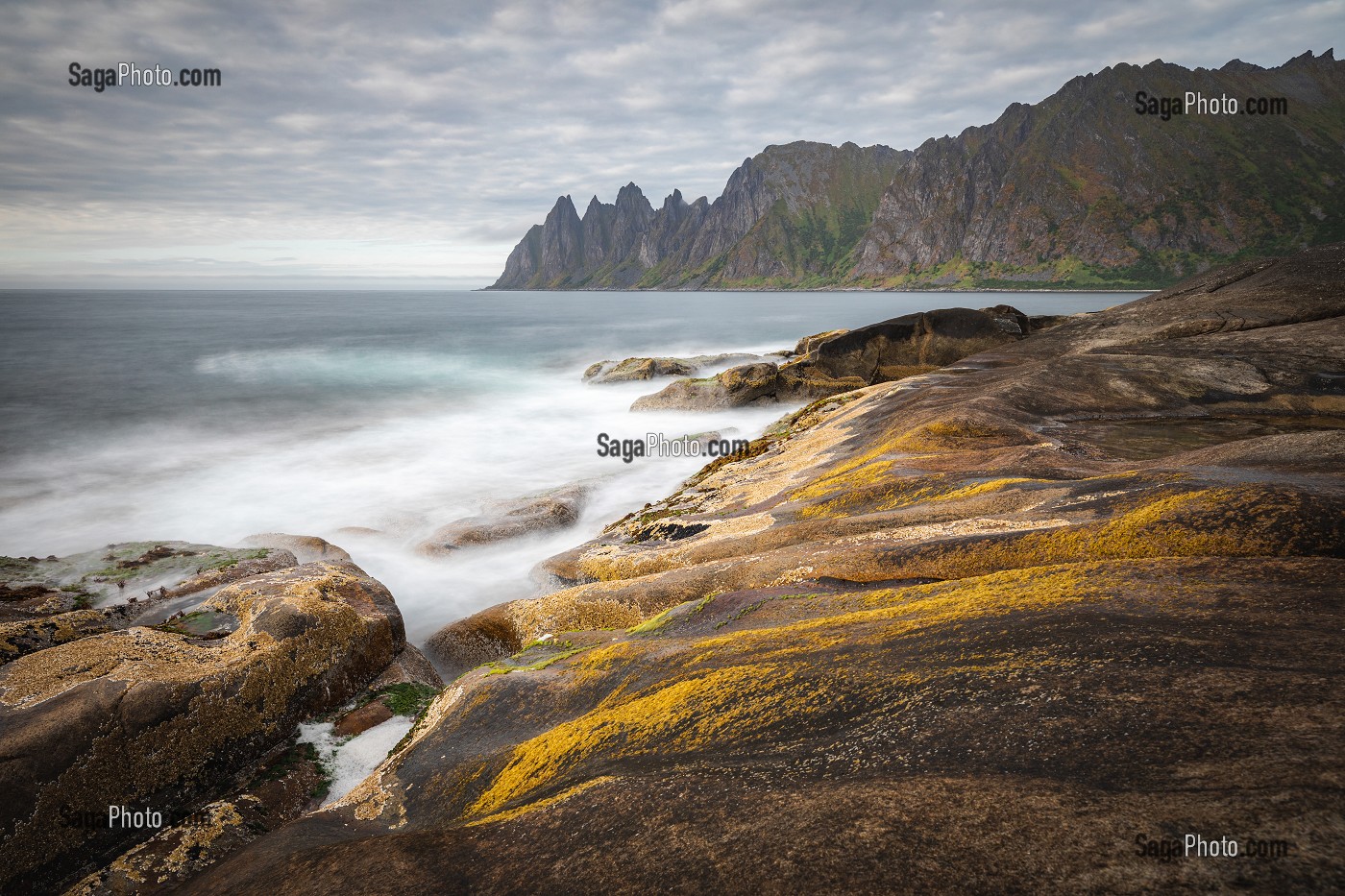 ALGUES COLORANT LES ROCHERS DE LA PLAGE DE TUNGENESET, SENJA, NORVEGE 