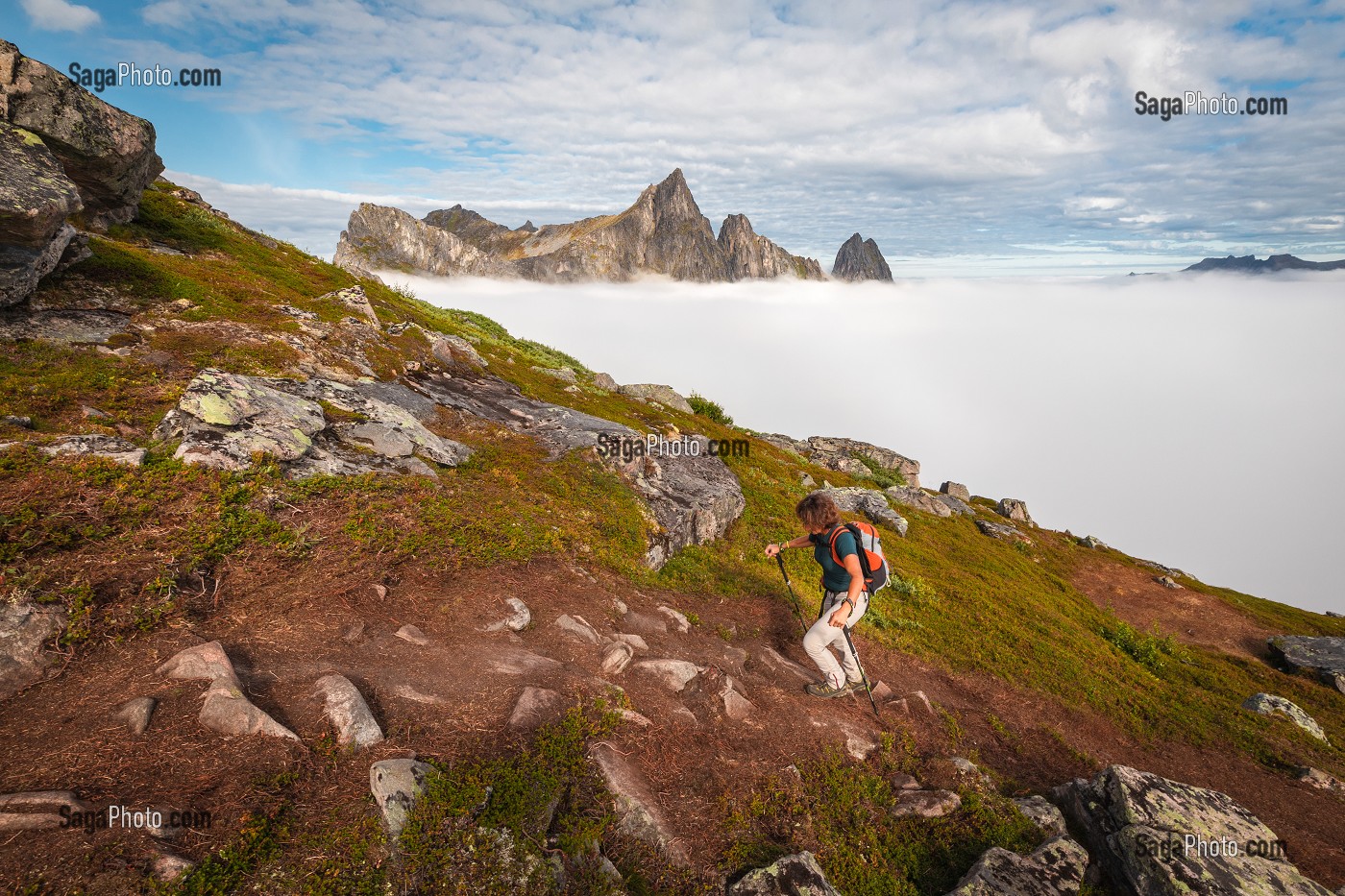 RANDONNEUSE MONTANT LA MONTAGNE HESTEN, PAROIS DU INSTE KONGEN EMERGEANT D'UNE MER DE NUAGES EN ARRIERE-PLAN, FJORDGARD, SENJA, NORVEGE 