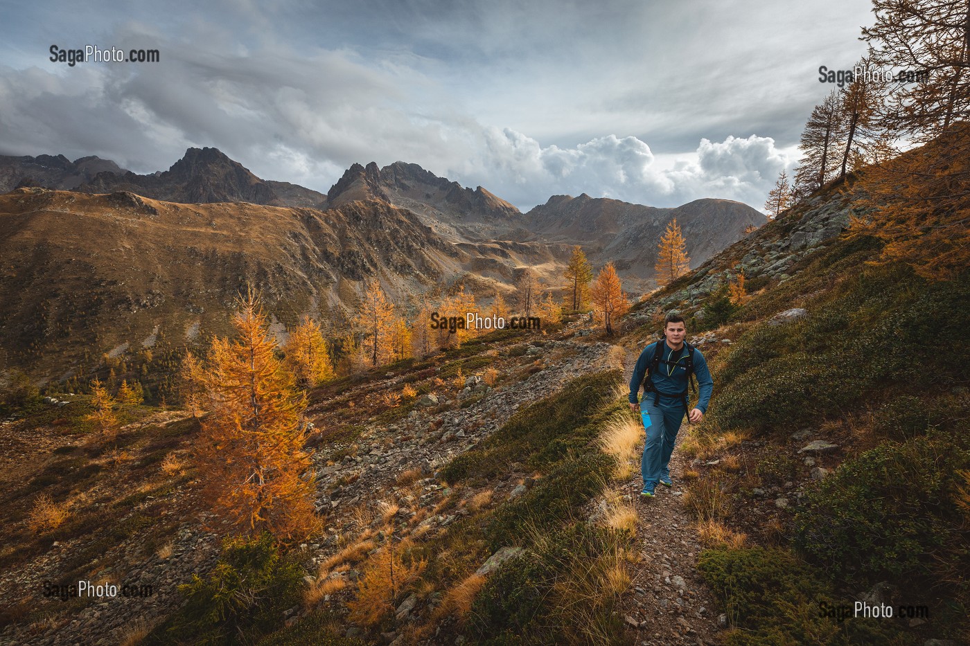 RANDONNEUR SUR UN SENTIER MENANT A LA CIME DE LA VALETTE DE PRALS, MELEZES AUX COULEURS AUTOMNALES, PARC NATIONAL DU MERCANTOUR, SAINT-MARTIN-VESUBIE, PROVENCE-ALPES-COTE-D'AZUR, (06) ALPES-MARITIMES, FRANCE 