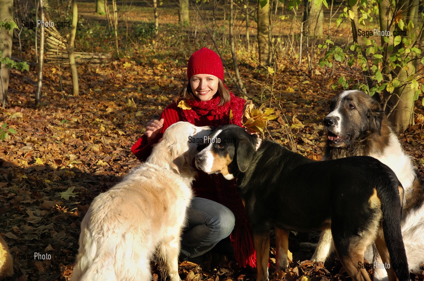 JEUNE FEMME EN FORET AVEC SES CHIENS 