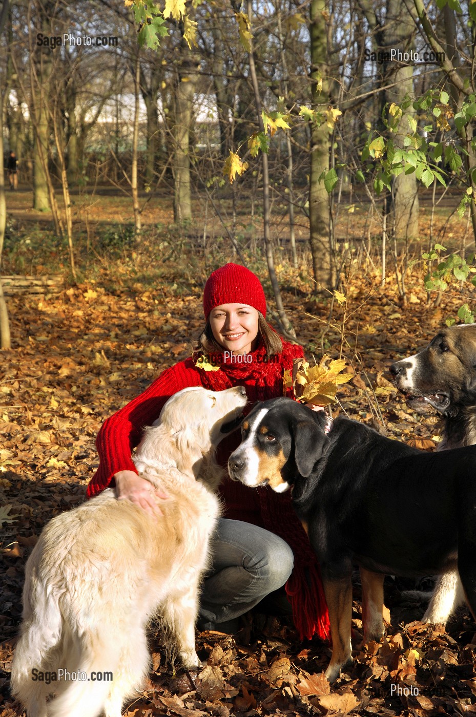 JEUNE FEMME EN FORET AVEC SES CHIENS 