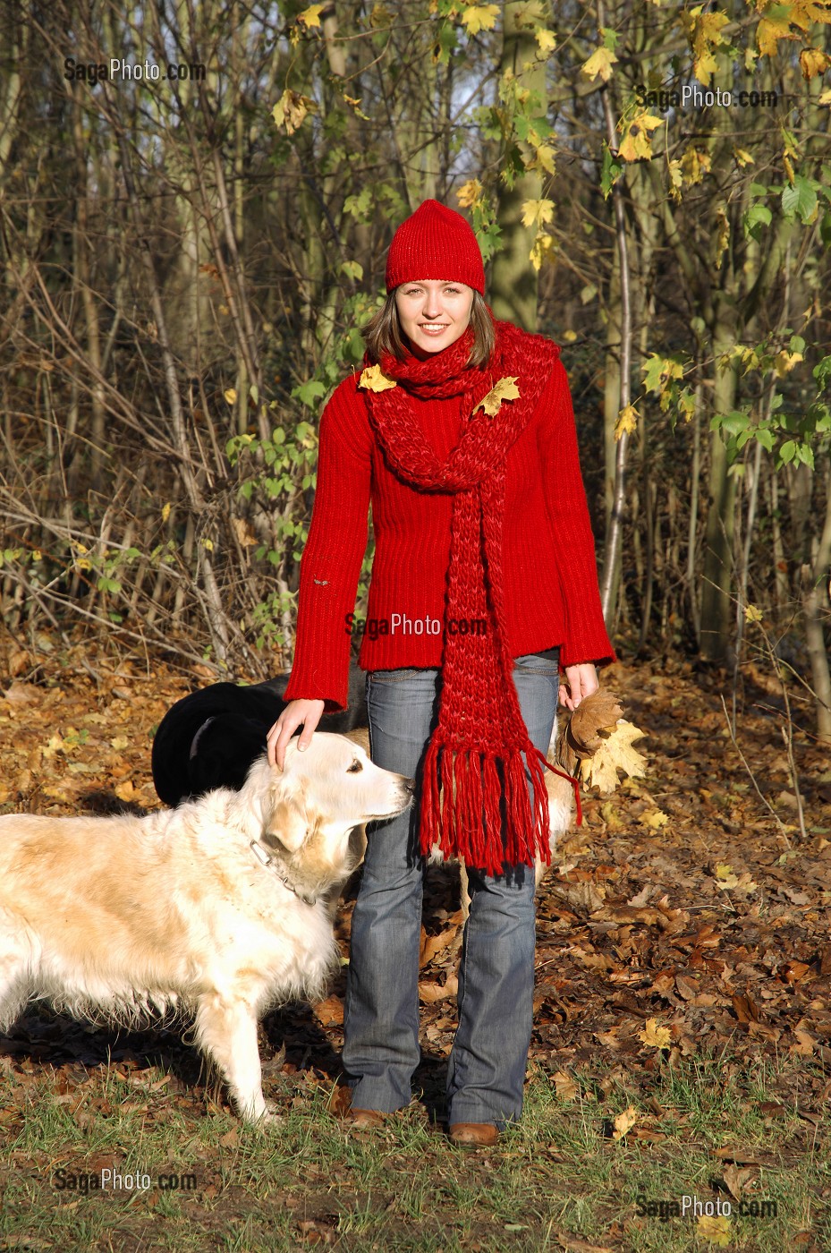 JEUNE FEMME EN FORET AVEC SES CHIENS 