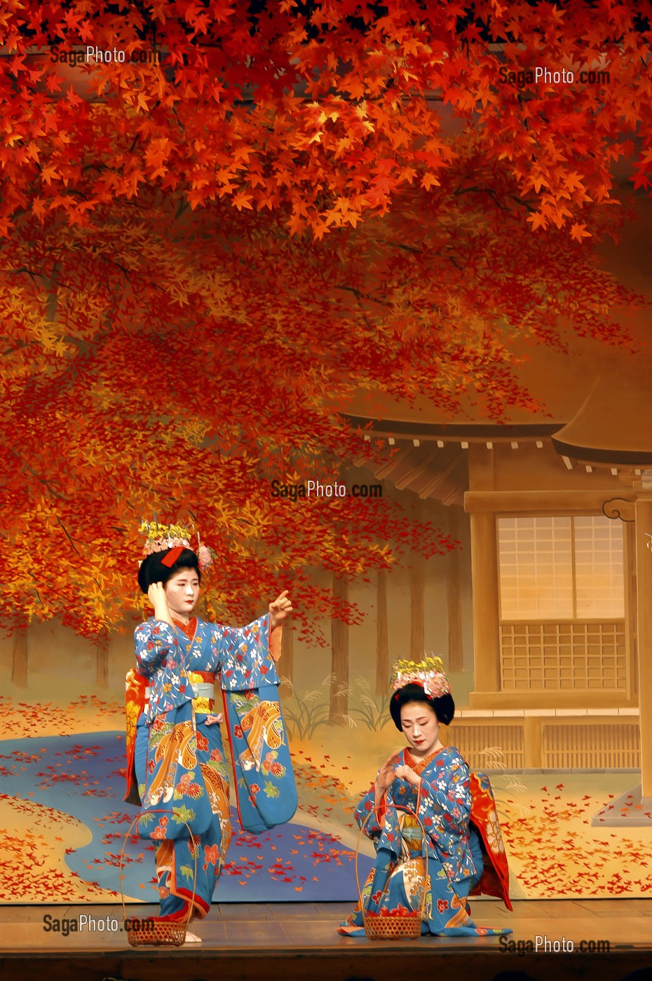 DANSE DES CERISIERS INTERPRETEE PAR LES GEIKOS ET MAIKOS DANSEUSES (TACHIKATA), SPECTACLE MIYAKO-ODORI AU THEATRE KABURENJO DE DANSE TRADITIONNELLE, QUARTIER DE GION-KOBU, KYOTO, JAPON, ASIE 