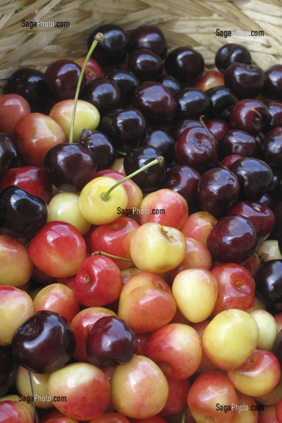 GROS PLAN DE CERISES ROUGES ET NOIRES, FRUITS ROUGES RICHES EN POTASSIUM ET AYANT DES VERTUS DIURETIQUES 