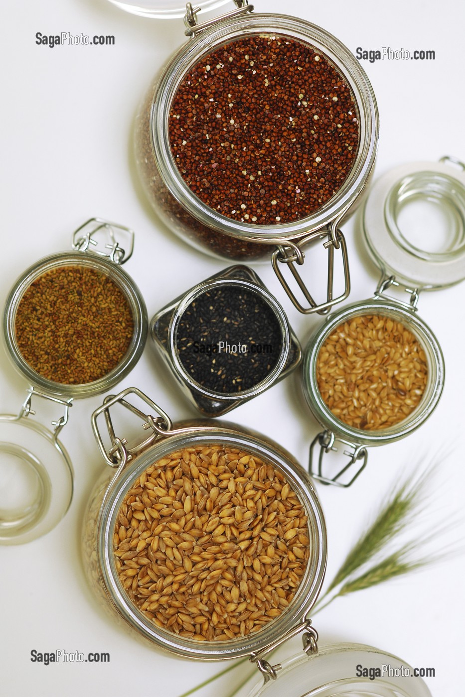 GRAINES ET CEREALES BIO (EPEAUTRE, LIN, QUINOA, SESAME, ALFALFA) RICHES EN VITAMINES, PROTEINES, CALCIUM ET ACIDES AMINES 