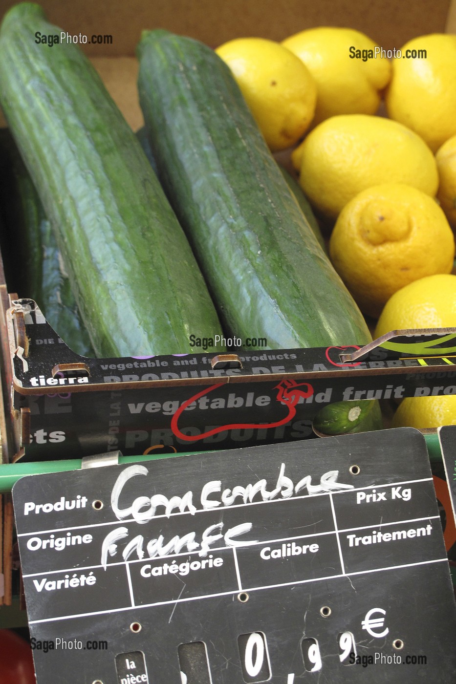 CONCOMBRES ET CITRONS, ETAL D'UN PRIMEUR SUR UN MARCHE EN FRANCE 