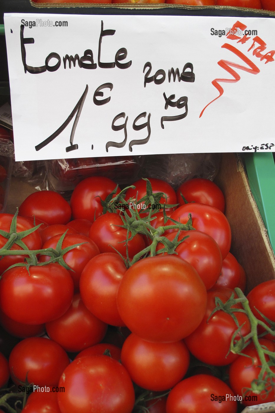 TOMATES DE TYPE ROMA, ETAL DUN PRIMEUR SUR UN MARCHE EN FRANCE 