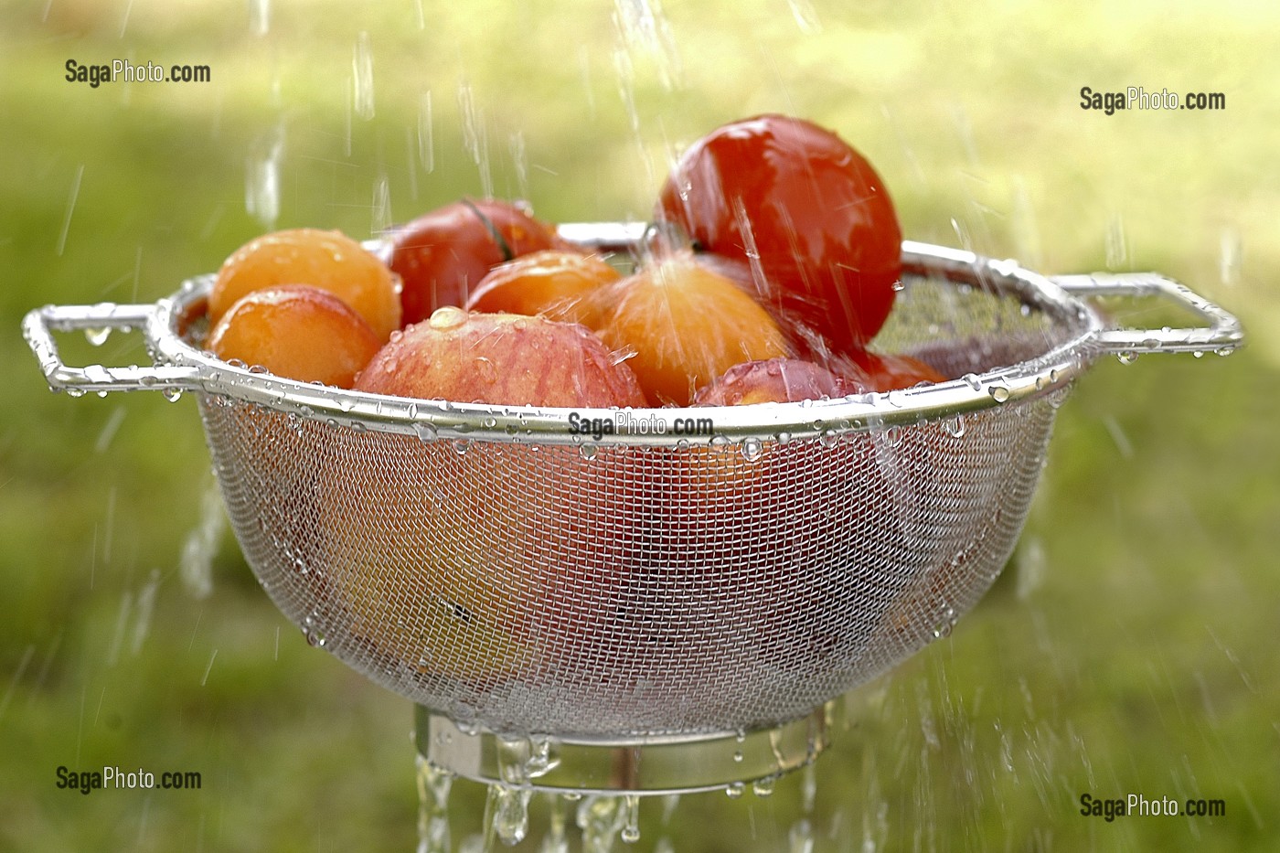 LAVAGE DE FRUITS ET LEGUMES DANS UNE ECUMOIRE SOUS UN JET D'EAU 