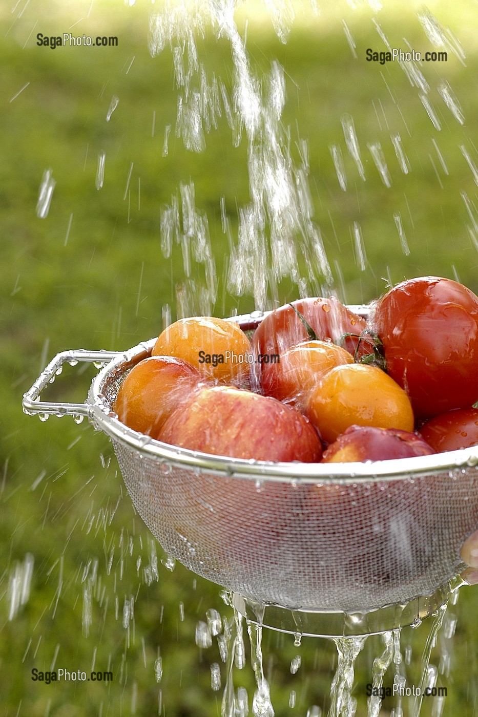 LAVAGE DE FRUITS ET LEGUMES DANS UNE ECUMOIRE SOUS UN JET D'EAU 