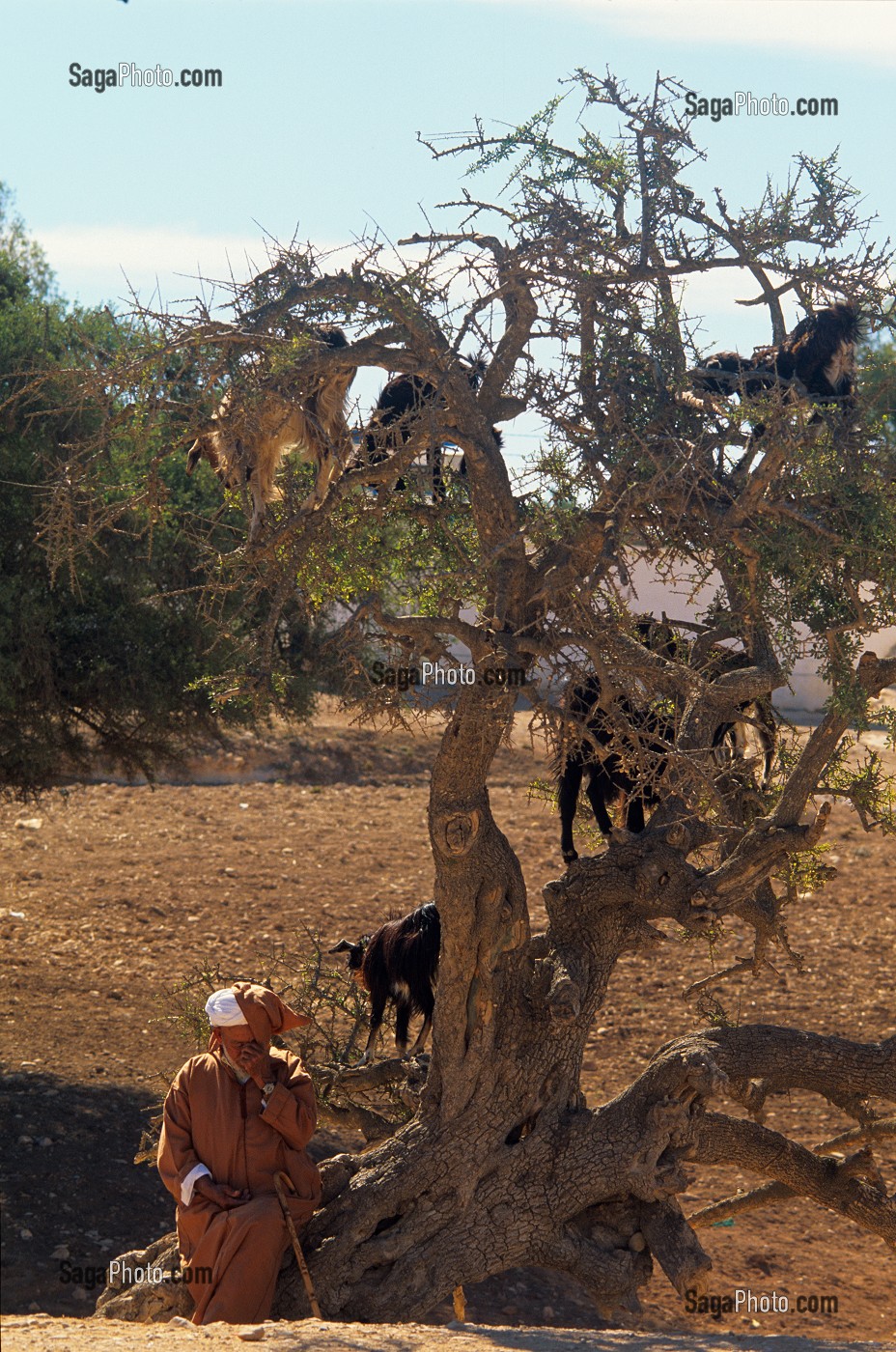 BEAUTE ET SOINS DU CORPS, TRADITIONS DU MAROC 