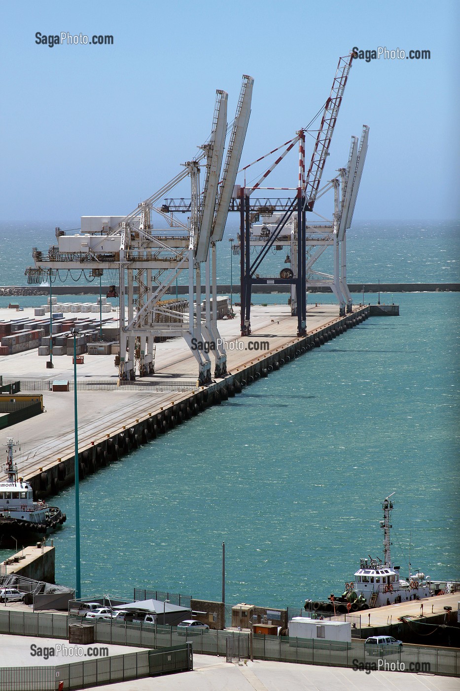 GRUES DANS LE PORT DE PORT ELIZABETH, PROVINCE DU CAP ORIENTAL, AFRIQUE DU SUD 