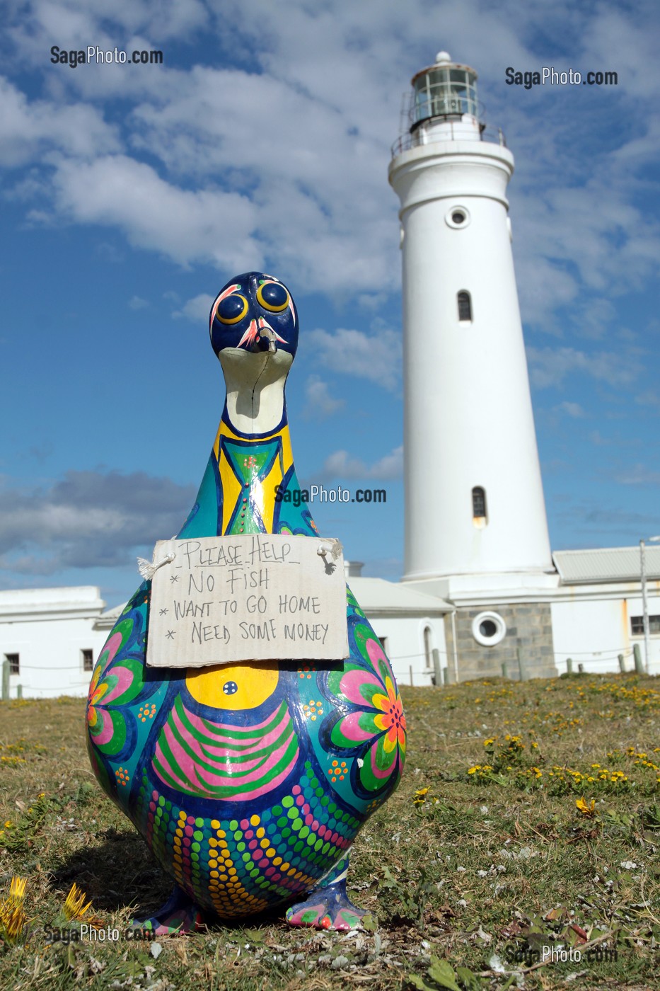 STATUE HUMORISTIQUE D'UN PINGOUIN SDF DEVANT LE PHARE DU CAP SAINT-FRANCIS, SAINT-FRANCIS, ROUTE DES JARDINS, KLEIN OU PETIT KAROO, PROVINCE DU CAP OCCIDENTAL, AFRIQUE DU SUD 